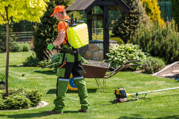 Best Lawn Pest Control  in Hopkins, MN